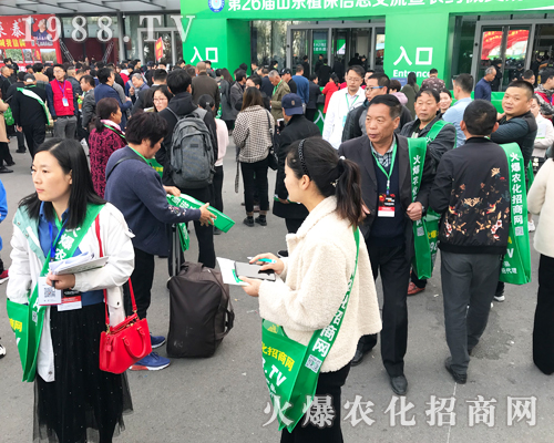     2019ɽ�|����ֲ���p�������r(n��ng)�����̾W(w��ng)��ٶ��w��