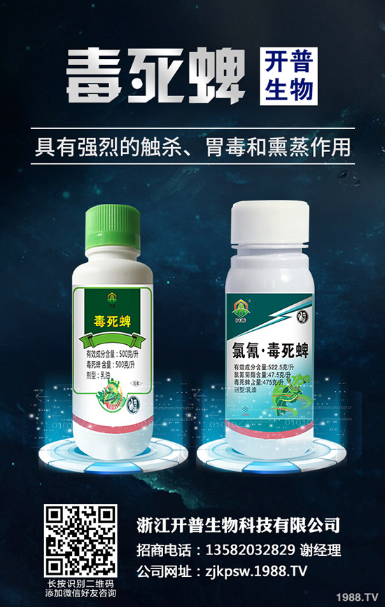 �＾�Nֲ��Щ�߲˺����＾�߲˷Nֲָ����