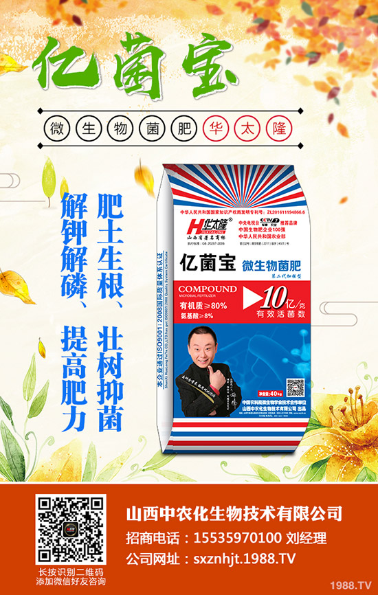     ���@�������������Οo�����������¶��@�r������2019-11-2