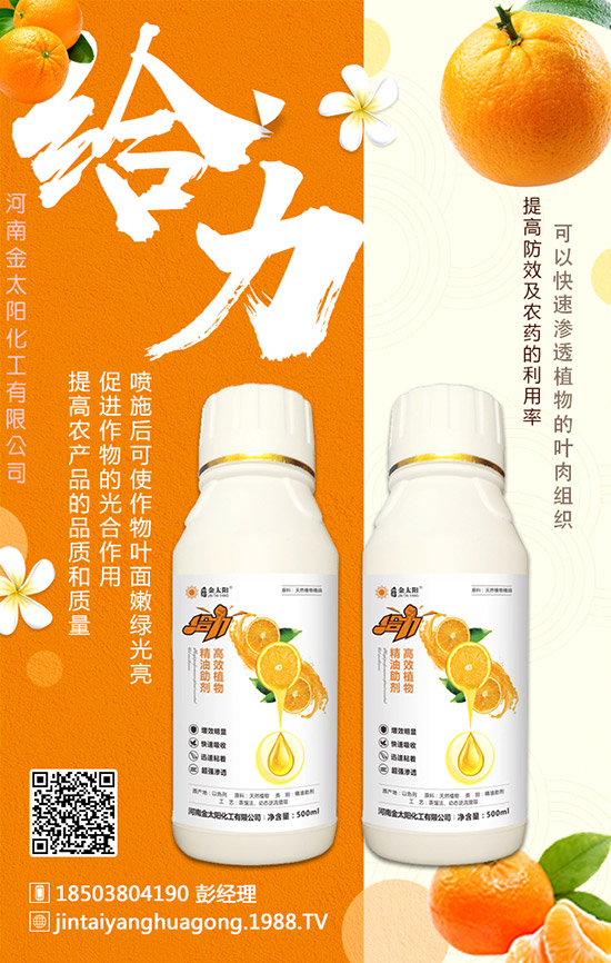 ���Ͻ�̫�(y��ng)�������޹�˾