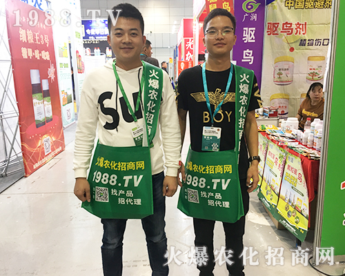     2019ȫ��ֲ�����ו���1988.TV���̟o�ϵK����(sh��)������