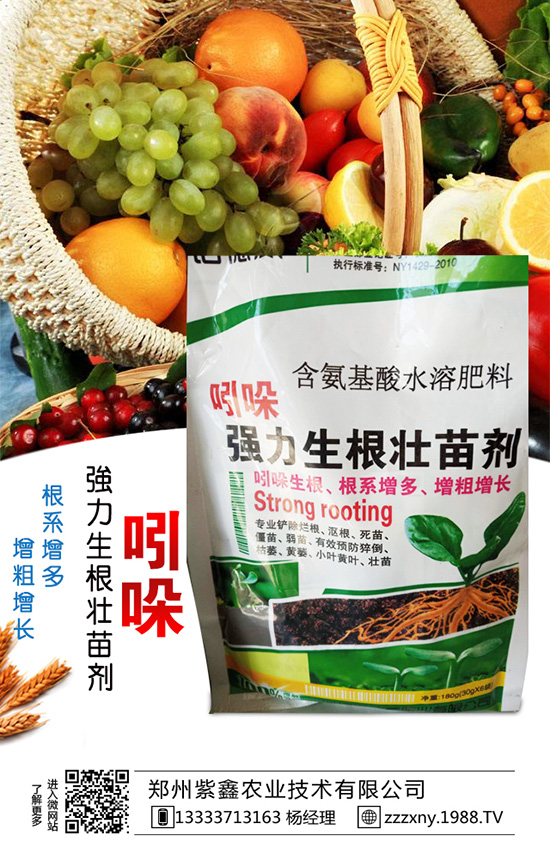 春芝麻種植時間是什么時候嗎？春芝麻種植管理技術(shù)！