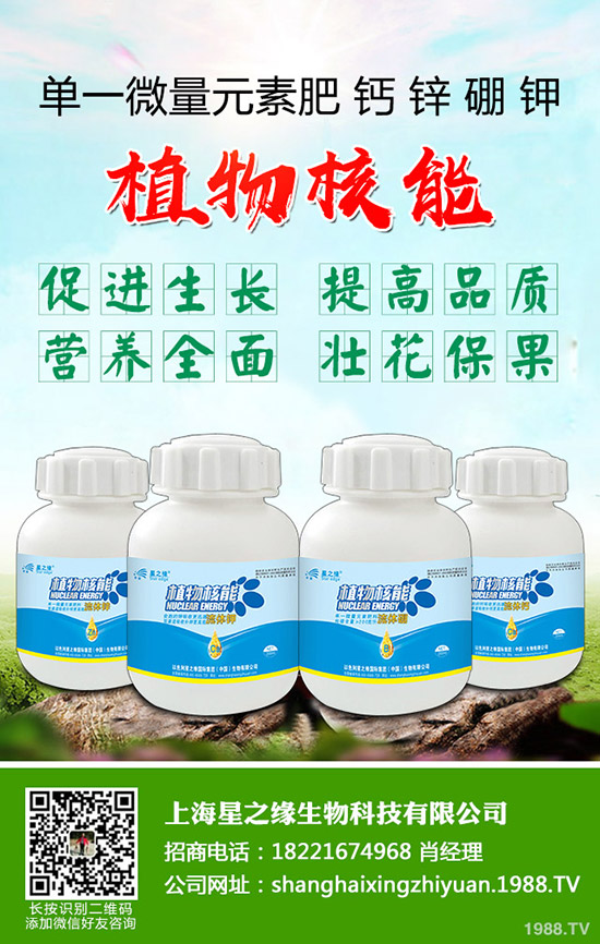 ѿ�����ӷNֲ��ѿ�˷Nֲ���g(sh��)���˽������