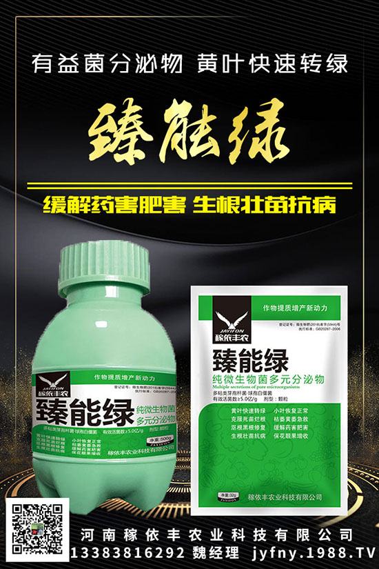 ��N�S�ʺܳ�Ҋ(ji��n)��Ԫ�غ�������������Ҫ֪���c(di��n)�M(j��n)��(l��i)������