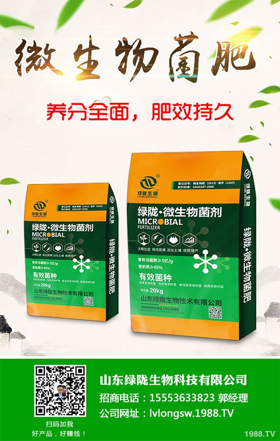 荊芥該如何種植?荊芥的種植環(huán)境要求