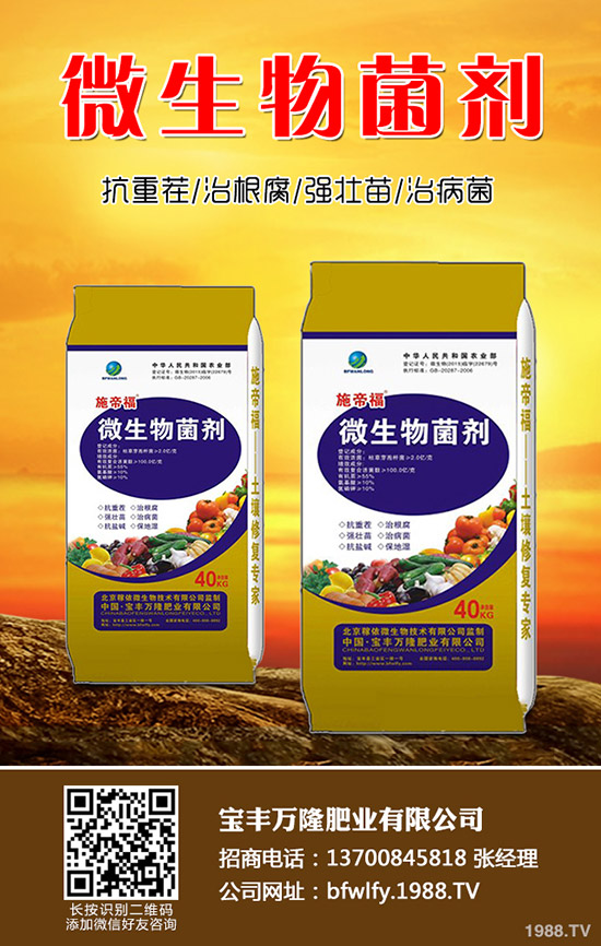 ����ʲô�r��Nֲ���������N���g(sh��)Ҫ�c���Y(ji��)