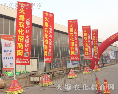     ���r�����̾W(w��ng)��2019�ӱ�ֲ����������