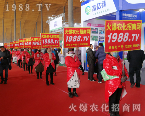     2019�ӱ�ʯ���fֲ�����ϻ��r(n��ng)���W(w��ng)��Ӣ�ɳ�������(zh��n)����