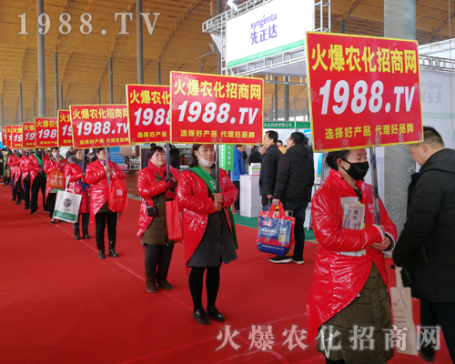     2019��30�úӱ�ֲ���������r(n��ng)���W(w��ng)Ҋ�C�ИI(y��)ʢ���ل�(chu��ng)�ѿ���