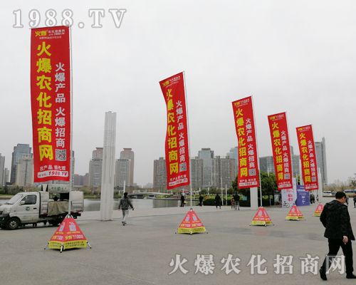     2019���ϴ���ֲ�������r���W���P�ķ���