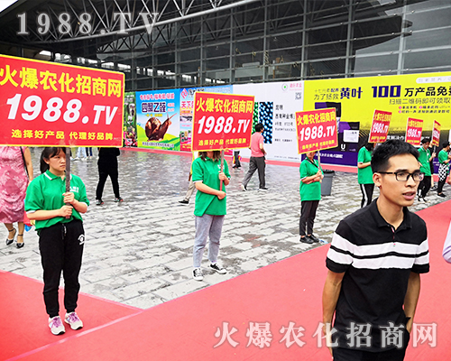     ���r(n��ng)�����̾W(w��ng)��2019�����r(n��ng)�Y��(hu��)�����G�ؼ����ի@�M�M