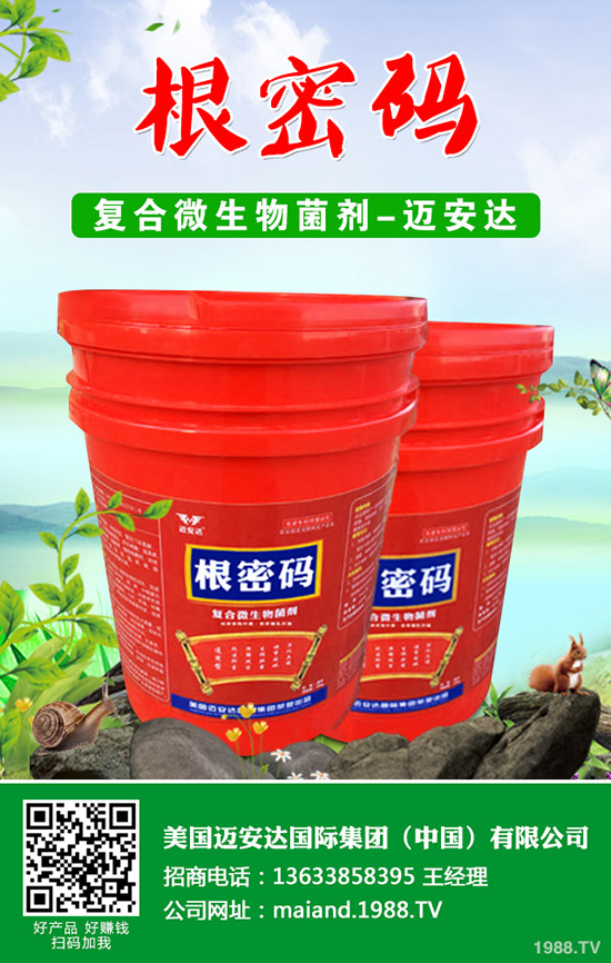 �����Jʲô�r��Nֲ�������J�Nֲ���g��