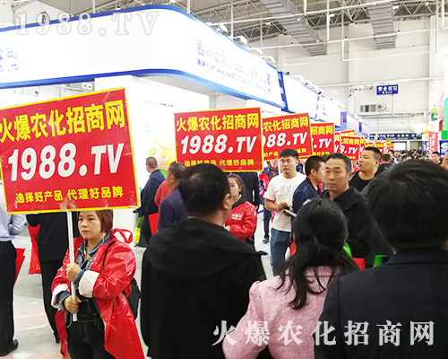     2019��ʮ�����L(zh��ng)��ֲ����(hu��)���r(n��ng)���˰���ͦ��