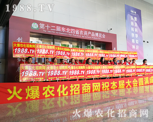 ��ʮ�����L��ֲ������1988.TV������ݿ�ǰ������