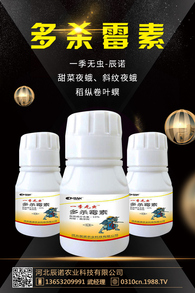 �軨�x�����ȥ�����軨�x�����μ���