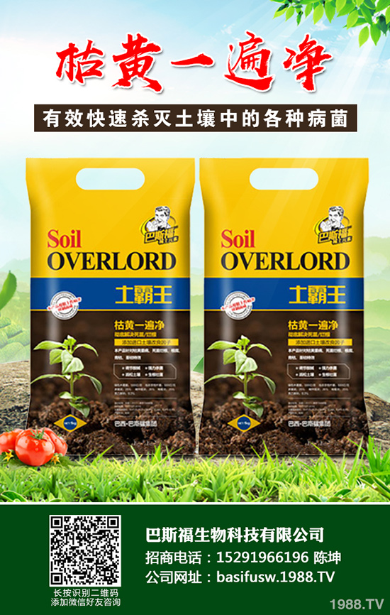 ���Sԓ��ηNֲ�����S�ĸ�Ч���༼�g(sh��)����Щ��