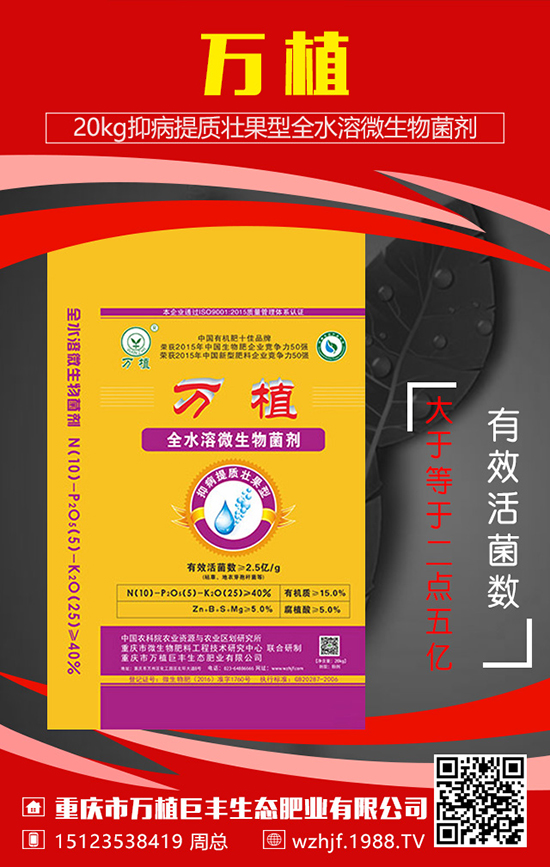 �t���Nֲ�r���t�����Ҏ(gu��)�ɺ����c����˽����