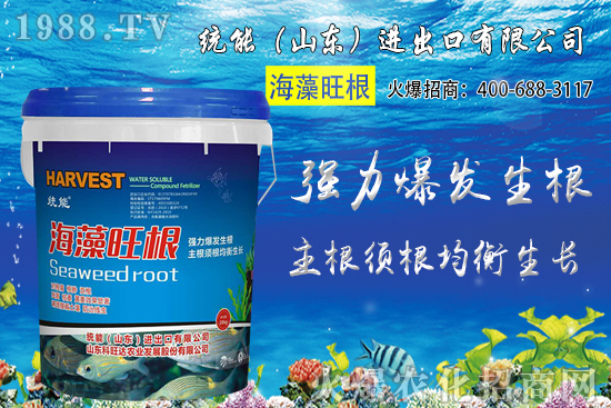 С���Nֲ�r(sh��)�g��δ_����2020��С���Nֲע����Щ���}��