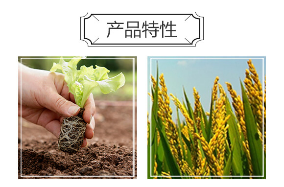 ����طNҺ��-�ڼ���-��˹��_05