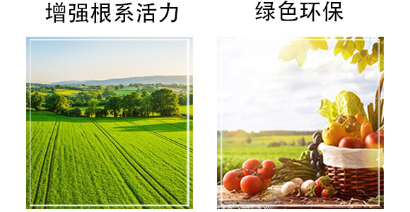 ����طNҺ��-�ڼ���-��˹��_06