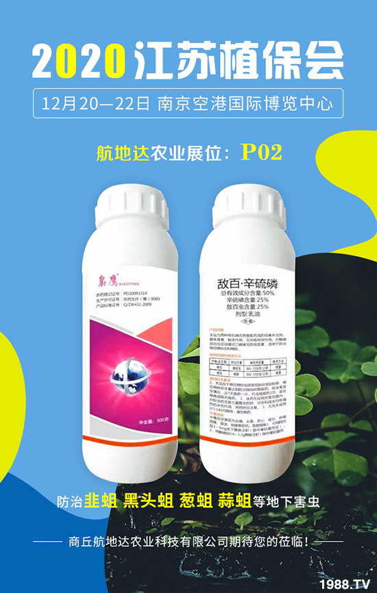 2020���Kֲ�����������_�r(n��ng)�I(y��)�����������@ϲ���࣡���u�B�B��