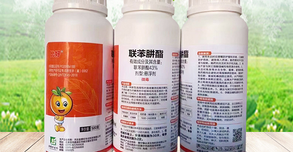 25%�����Ѿ���-����-���_02