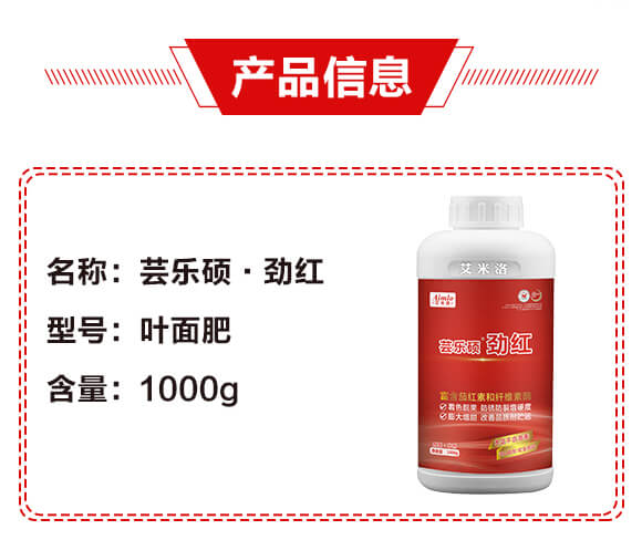 �|��(l��)�T���żt-������_02