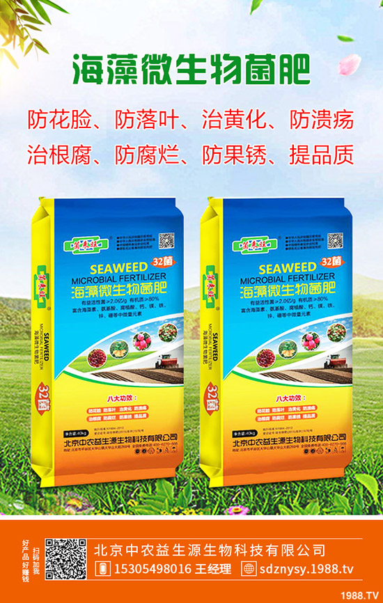     2020��4��4�ս������@���镺��(w��n)������һ�@���@�r(ji��)�����(b��o)��