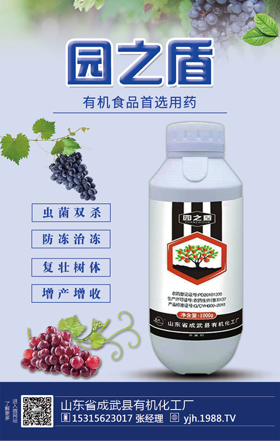 �����������������ʩ�ʼ��g��Ҫ�c��