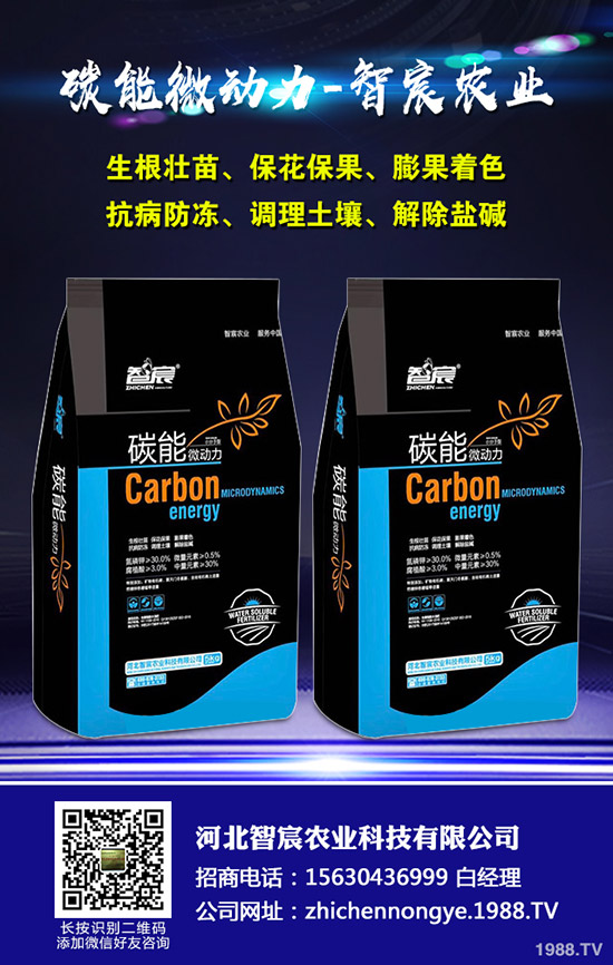 ���ϵ��������������ʩ���Ľ�����