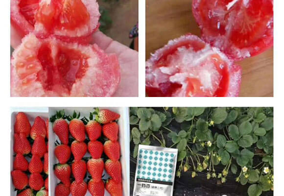 ��⛶���-һ����-�̩_09