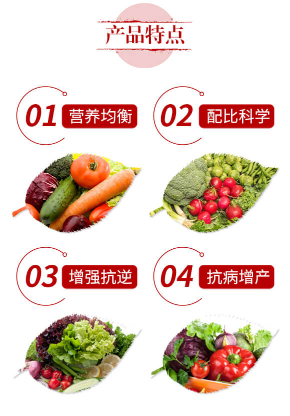 �����{(di��o)�턩-�S���}-��ؐ��_03