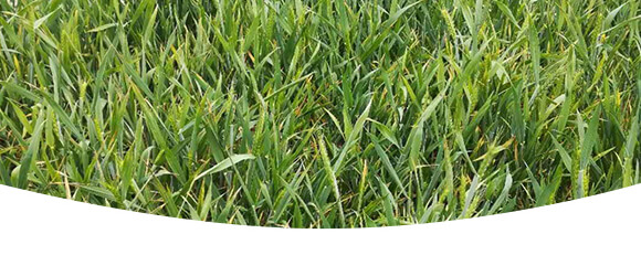 �r(n��ng)��ڈ@���＼�g(sh��)���޹�˾_16