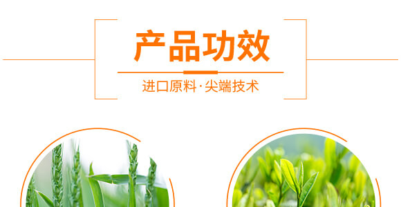 �Z�����＼�g(sh��)���޹�˾1_06