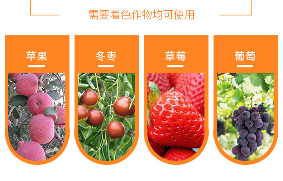 河南騰豐農(nóng)業(yè)科技有限公司_12