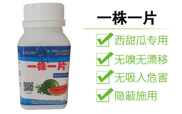 ����ό�(zhu��n)��-һ��һƬ_04