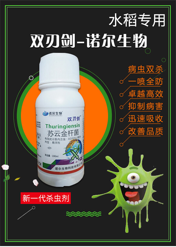 �p�Є�-�Z������_01