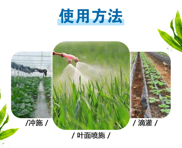 240g�ߵ�360-Ӣ����_09