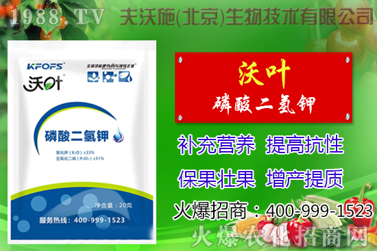 ���t��ժ�~����Щ��̎������ժ�~���g��ע����헣�