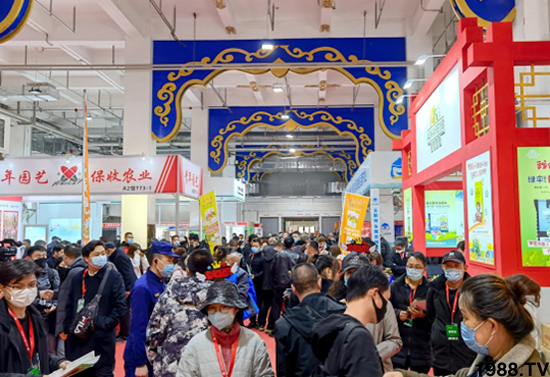 ��28�Ã�(n��i)�ɹ��r(n��ng)����(hu��)