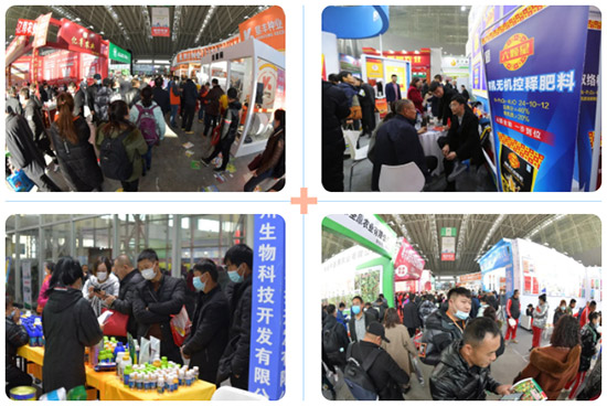 2022�����I�r(n��ng)�Y���[��(hu��)12