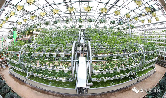 �ڶ�ʮ���É۹�˲���6