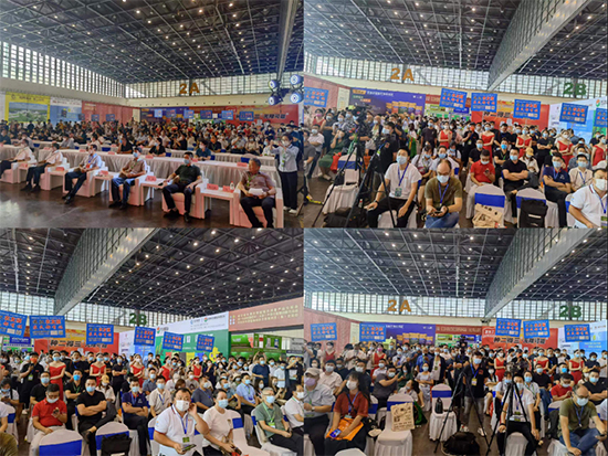 �ڶ�ʮ����ԭ�r(n��ng)�Y�p����3