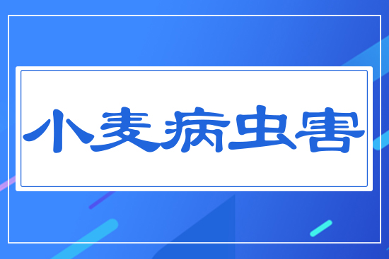 С�����x��