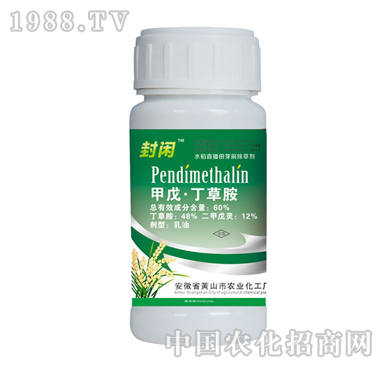 60%���춡�ݰ�-���e-�{���r�I(y��)