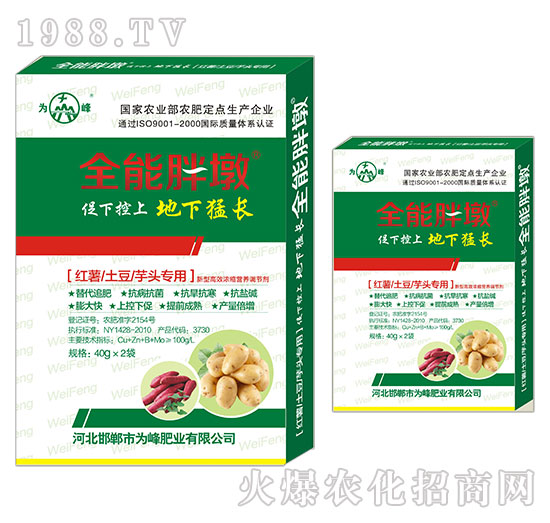 �t�������������^����-ȫ���ֶ�-���