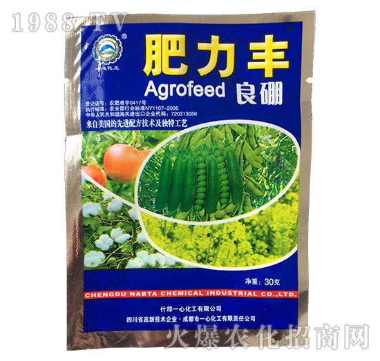 ����-�����S-һ�Ļ���