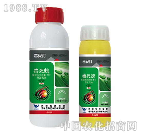 40%������-������-���{(l��n)