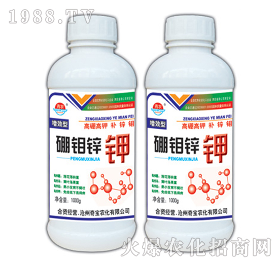 1000g���f�\�-�挚�r(n��ng)��