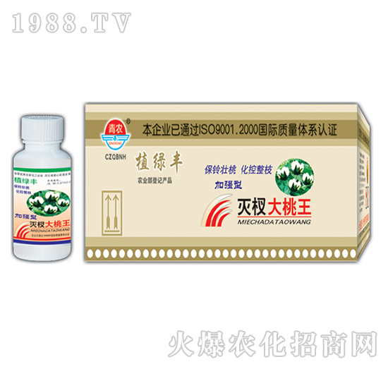 50g��辴�����-�挚�r(n��ng)��